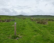 ldwalks